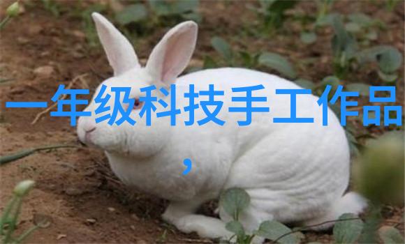 生物安全柜技术与操作规范研究保障实验室微生物安全的新纪元