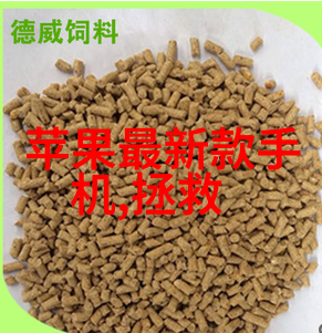 离心压缩机我是怎么被它的旋转速度折腾到家的