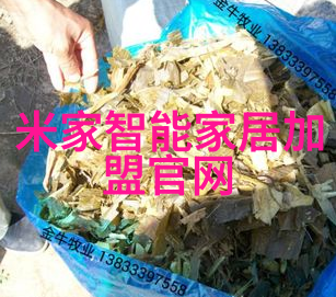 家居装修的艺术与科技交融创造个性化的生活空间