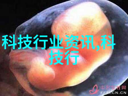 不锈钢金属丝网填料我的家居改善小贴士
