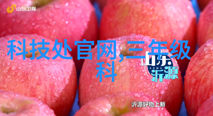 机械制造-雷蒙机的精准磨削艺术