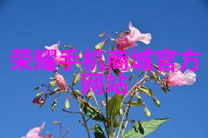 高温灭菌设备对抗细菌威胁的有效性如何