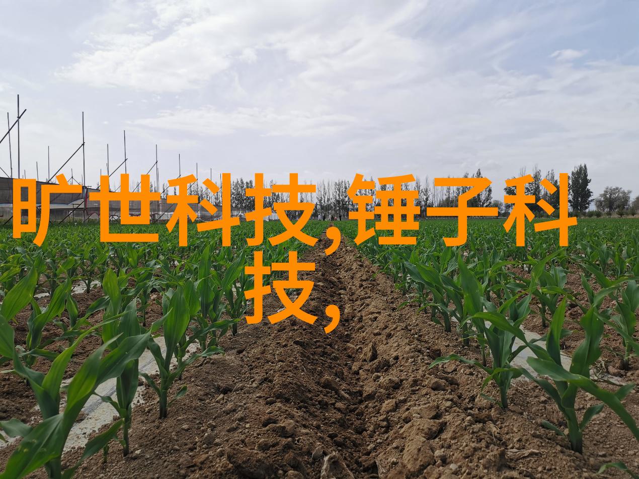 化工反应设备有哪些-探索化工世界各类反应设备的种类与应用