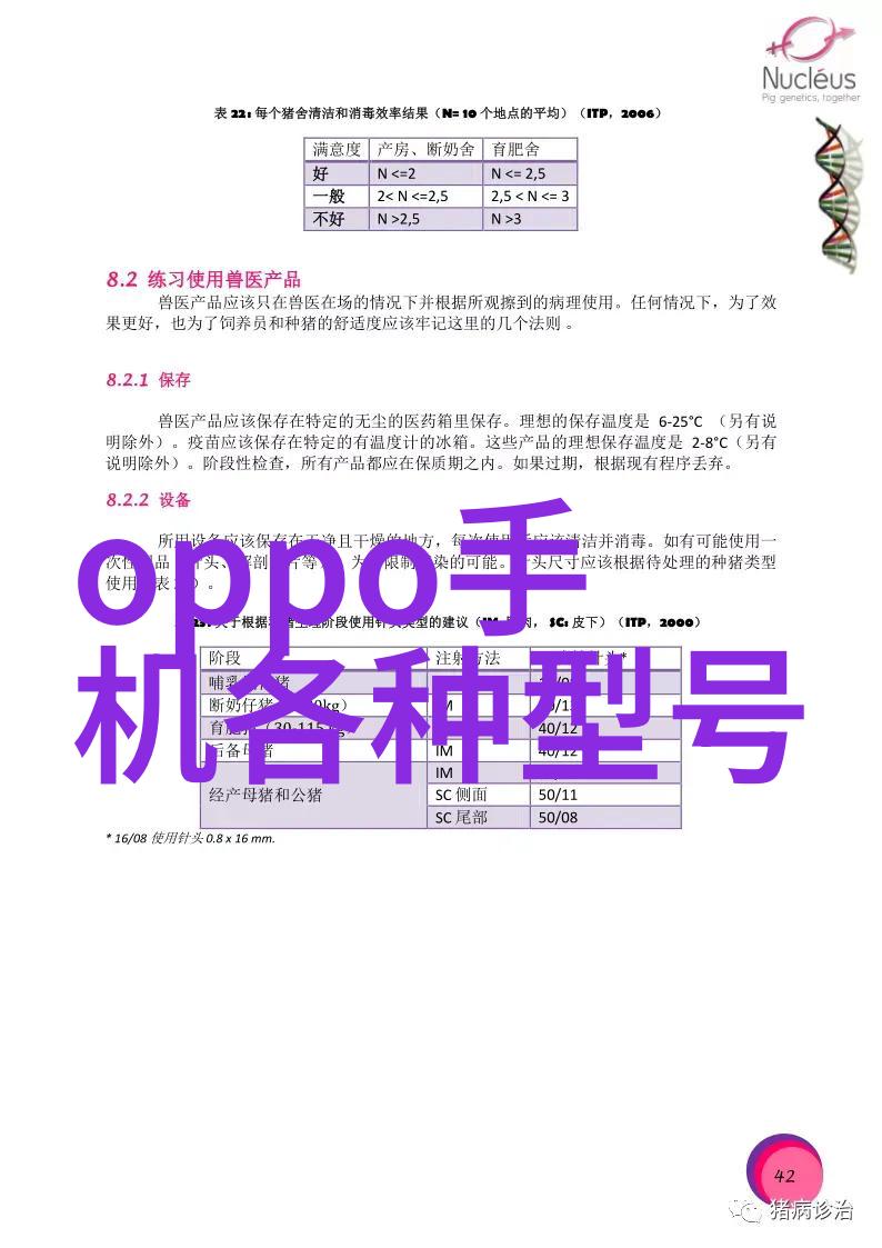 环填料的规整之美探索高效稳定的地基解决方案