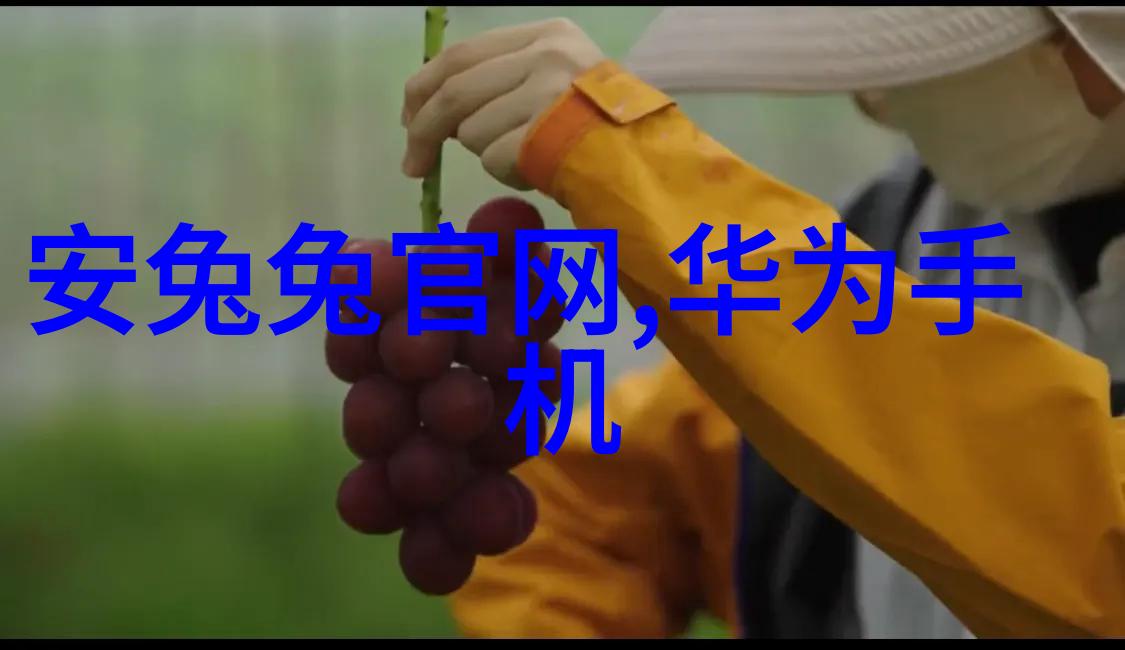 净化之源垃圾油水分离器的奇迹