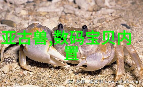 揭秘芯片内部结构图微观世界的精密工艺与设计原理