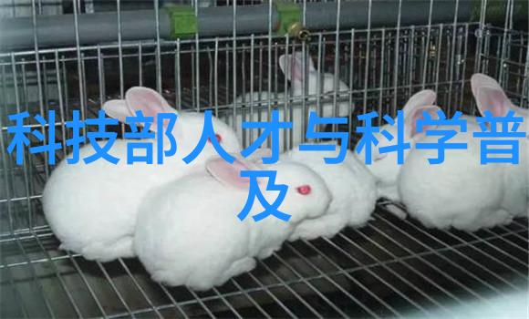 管材-探索管材的多样性从塑料到钢铁各种材料的应用与特点