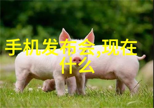 蒸汽之舞探秘Tuttnauer的灭菌艺术