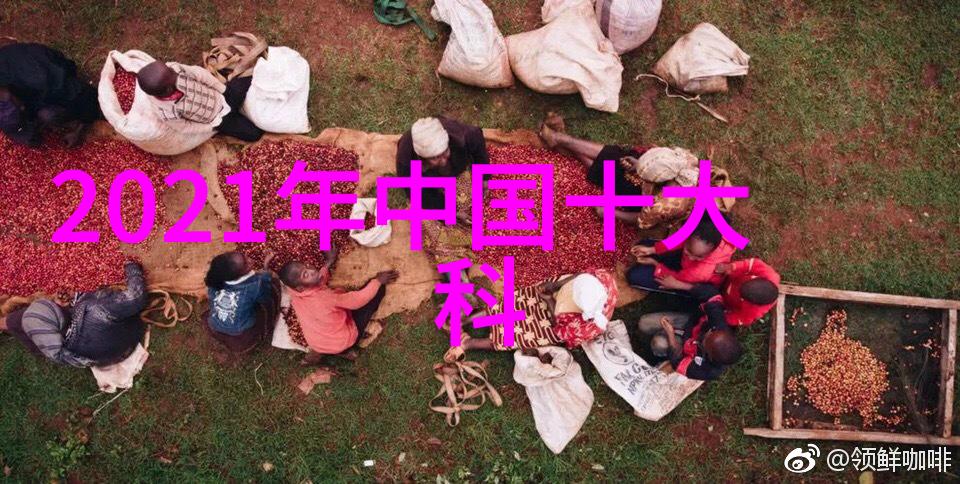 探索数码世界国语版第一部的奇幻旅程
