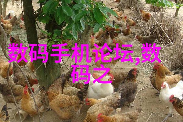 装修小知识让您的居家生活更美好