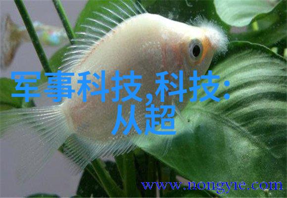 英语老师未佩戴口罩的教育难题与应对策略