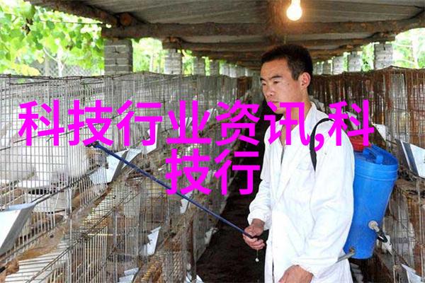 乐豪斯的秘密消失的旋律与阴影中的回声