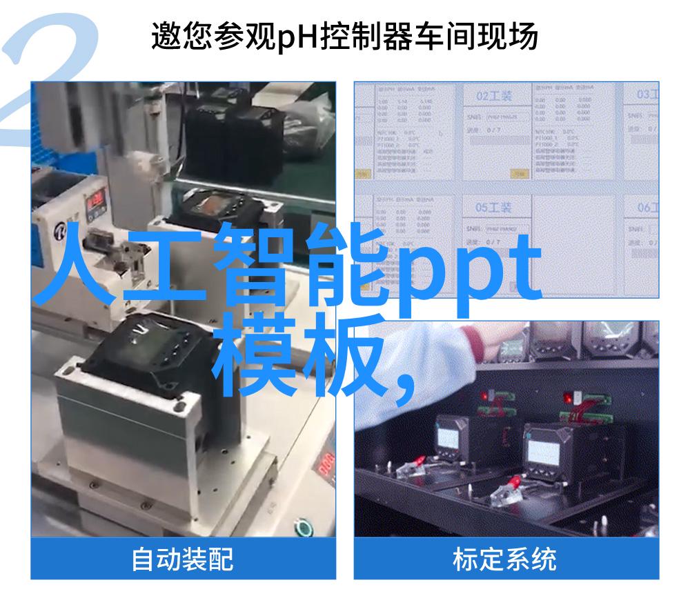 现代屠宰场的高效杀死系统