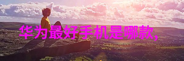 不锈钢输送机高效耐用与无缝对接的物料搬运解决方案
