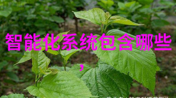 张鹭的飞翔之旅