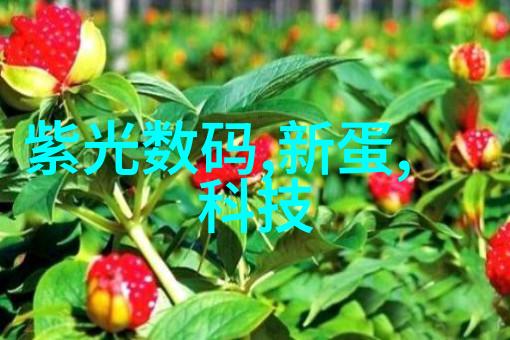环保机械-绿色能源转型中的关键技术创新