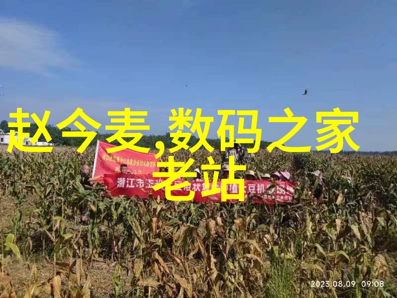 蒸汽动力电热蒸汽发生器的应用与未来发展