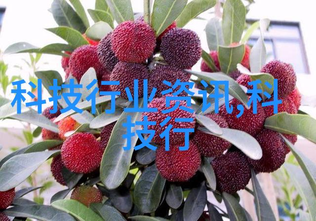 今日吃瓜51CG热门大瓜首页娱乐圈八卦新闻