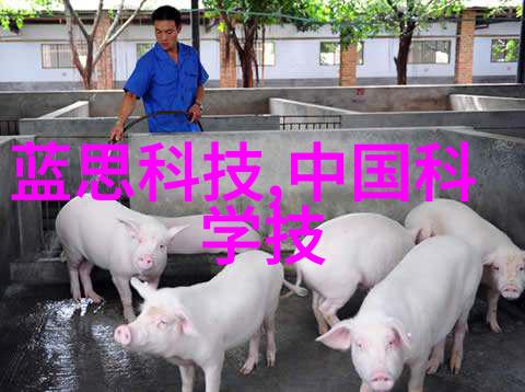垃圾分类设备确保城市生活的清洁与可持续发展