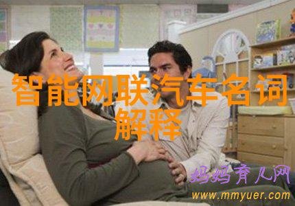 国际市场上是否有类似于中国的丝网规整填料国家标准有什么不同之处