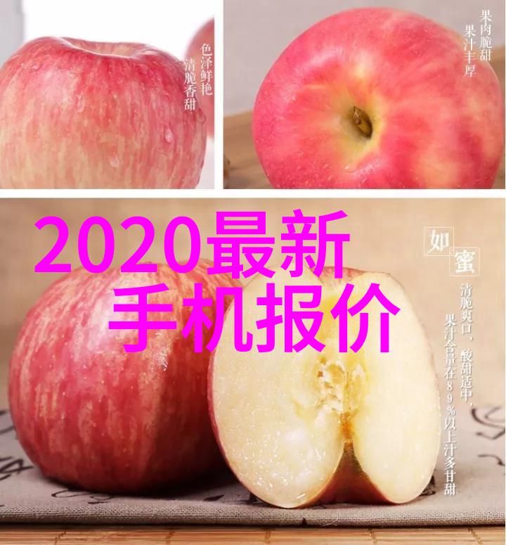 隐秘的装修计划揭开施工方案中的谜团