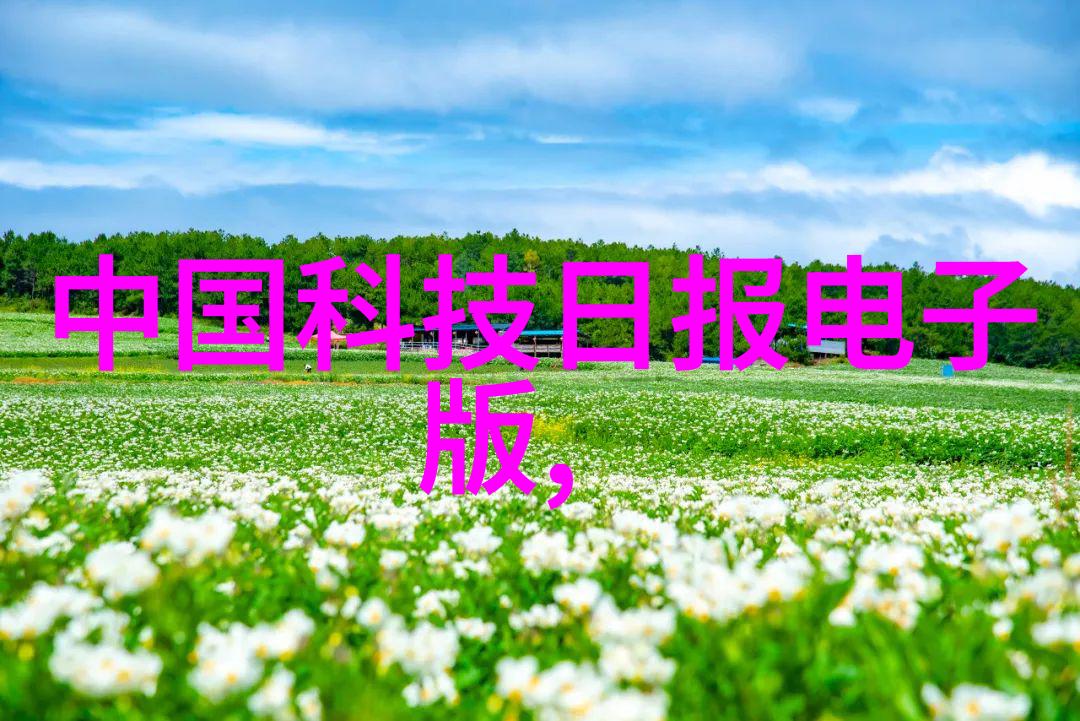我在dn50鲍尔环的世界里探索那些不为人知的秘密