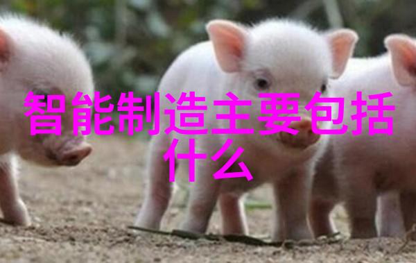 五年级科技小制作大全最简单我来教你做超级酷炫的科学小实验