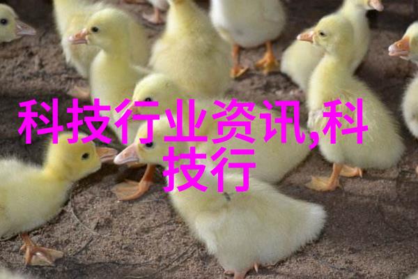 丝网填料与波纹填料在材料成型中的应用优缺点研究