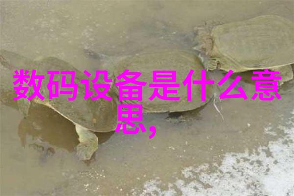 皮带输送机物流领域的效率之王