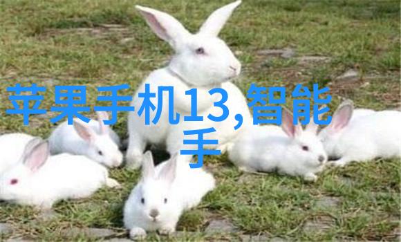 绿植神器揭秘哪些植物能大幅去除甲醛如何精准养护毛坯房装修中的绿色宝贝