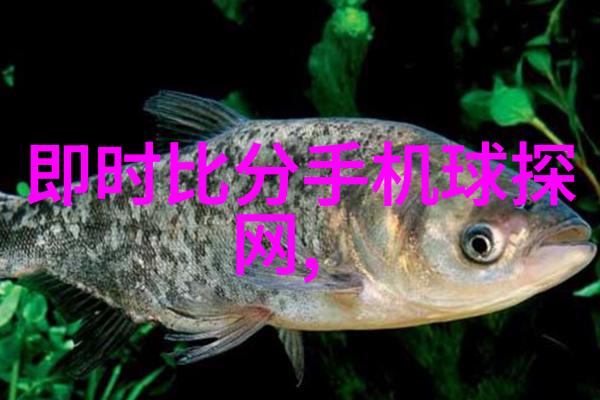 液压圆锥破碎机高效能矿石碎石设备