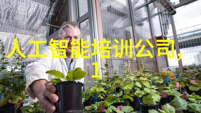风华录中的霓裳舞会穿越时空的纱笼美丽