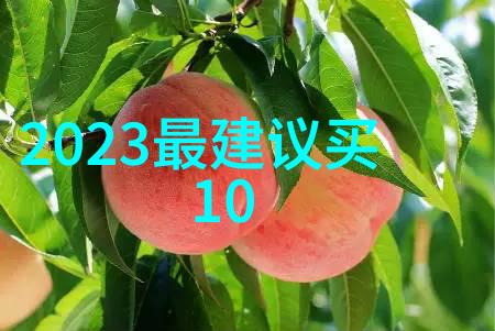 高效能化工蒸汽生产系统的设计与应用