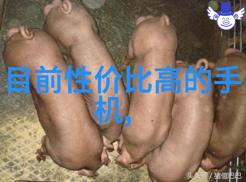 为何在设计时要考虑到自然光线的利用并且怎么做呢