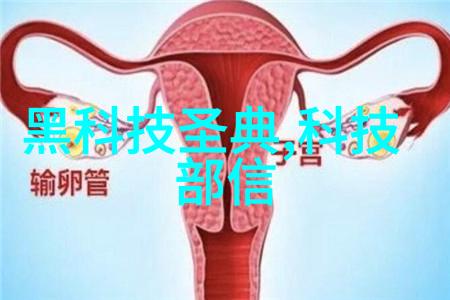 不锈钢的奇幻冒险从餐具到厨房小能手