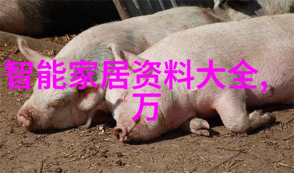 新兴技术如何改善往复泵性能