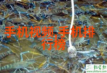 化工装置我家的化学实验室危险与趣味的共生地