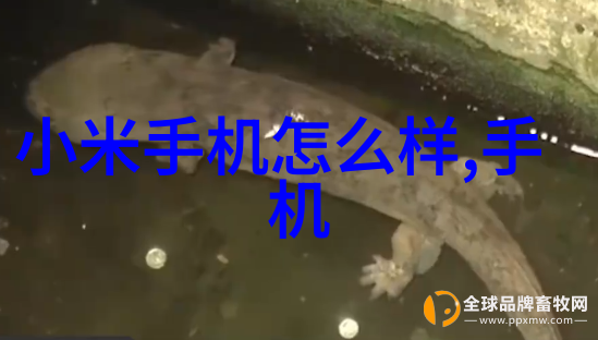高效快速的干燥解决方案闪蒸技术在食品工业中的应用