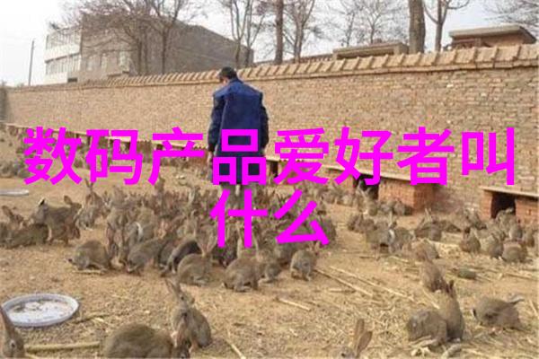 中式客厅装修效果图古典韵味与现代审美的完美融合