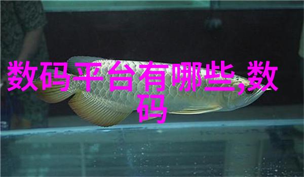 高效混合与优化组合填料技术参数的应用与实践