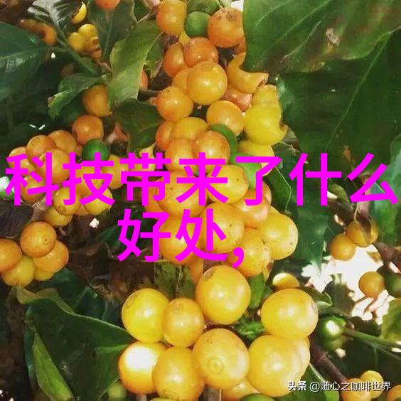 立式沉降式离心机高效分离技术的旗舰设备