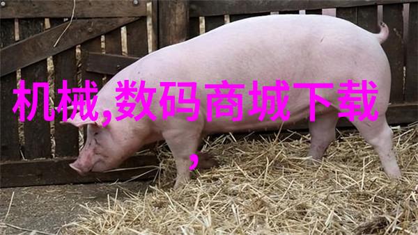 超高性能PVDF规整填料在涂层应用中的革命性作用