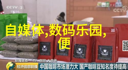 中国塑料网技术创新与可持续发展的探究