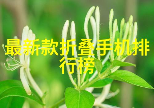 离心设备分类揭秘从形式上探索其多样性与应用
