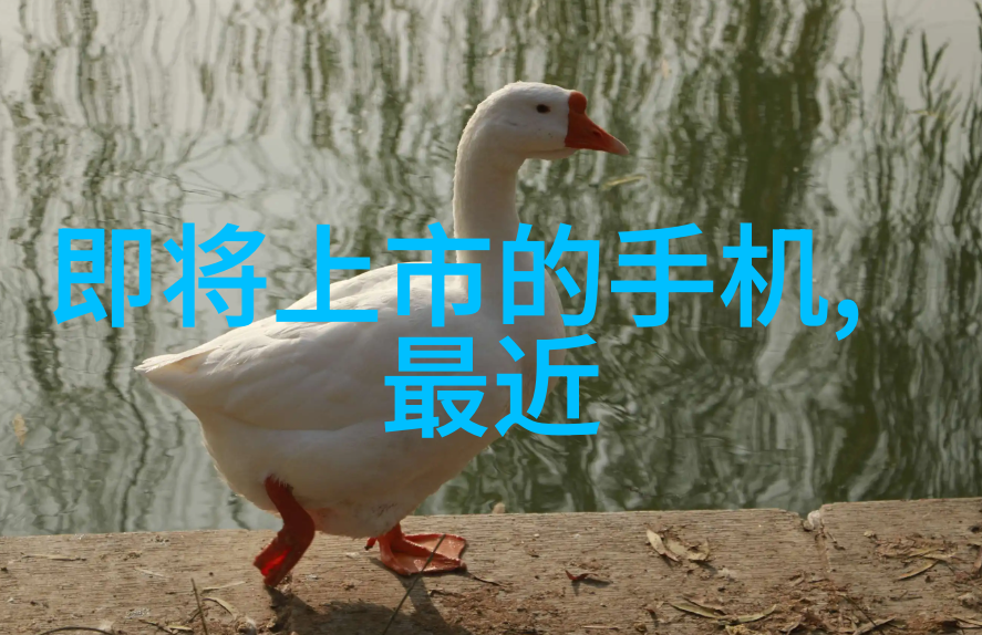 踢脚线是什么-解密室内装修踢脚线的功能与选择