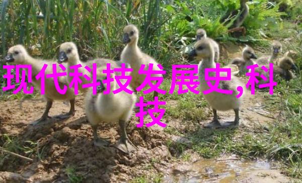 小空间如何利用高效创造出舒适的睡眠环境