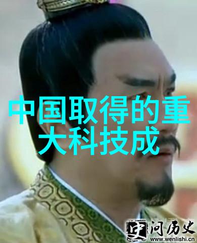 自动洗碗机 功能性与实用性的综合分析