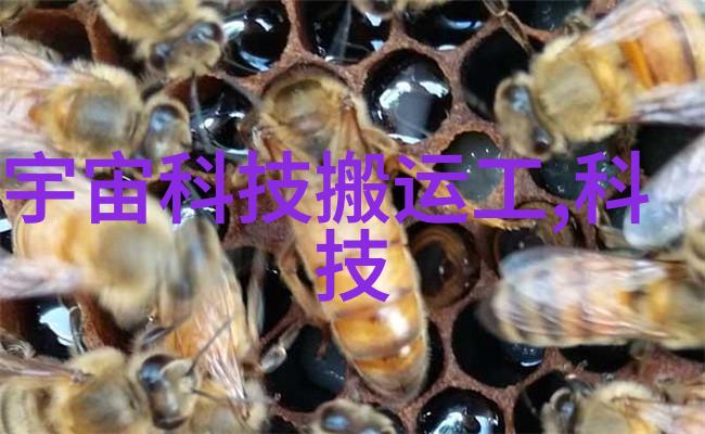 学校或社区开展回收活动有什么好处