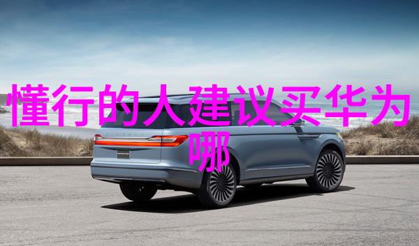 紧急求助危机处理与应对策略
