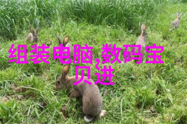 油水分离技术的进步如何选择合适的过滤设备
